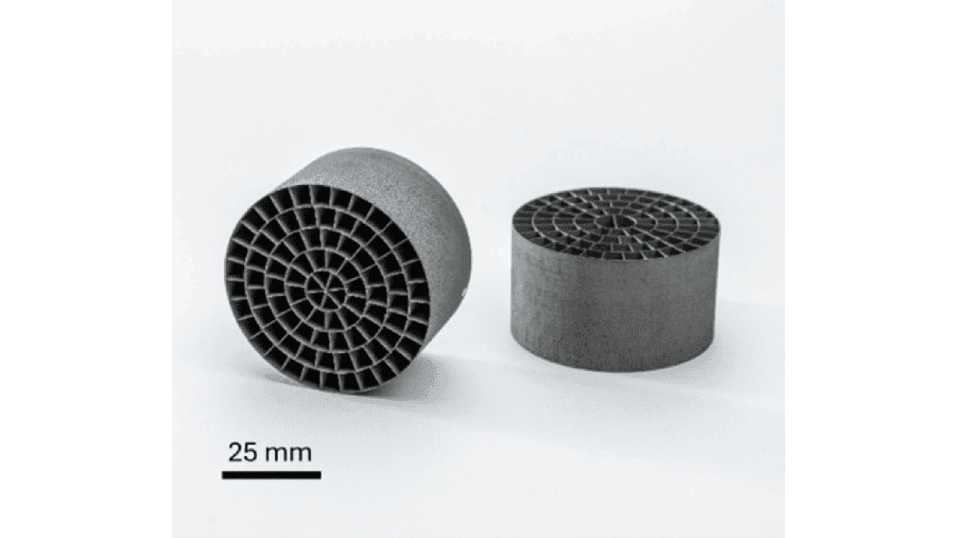 Two cylindrical objects with a grid-like, honeycomb interior pattern are shown side by side on a white background. A scale below indicates each cylinder is about 25 mm in diameter.