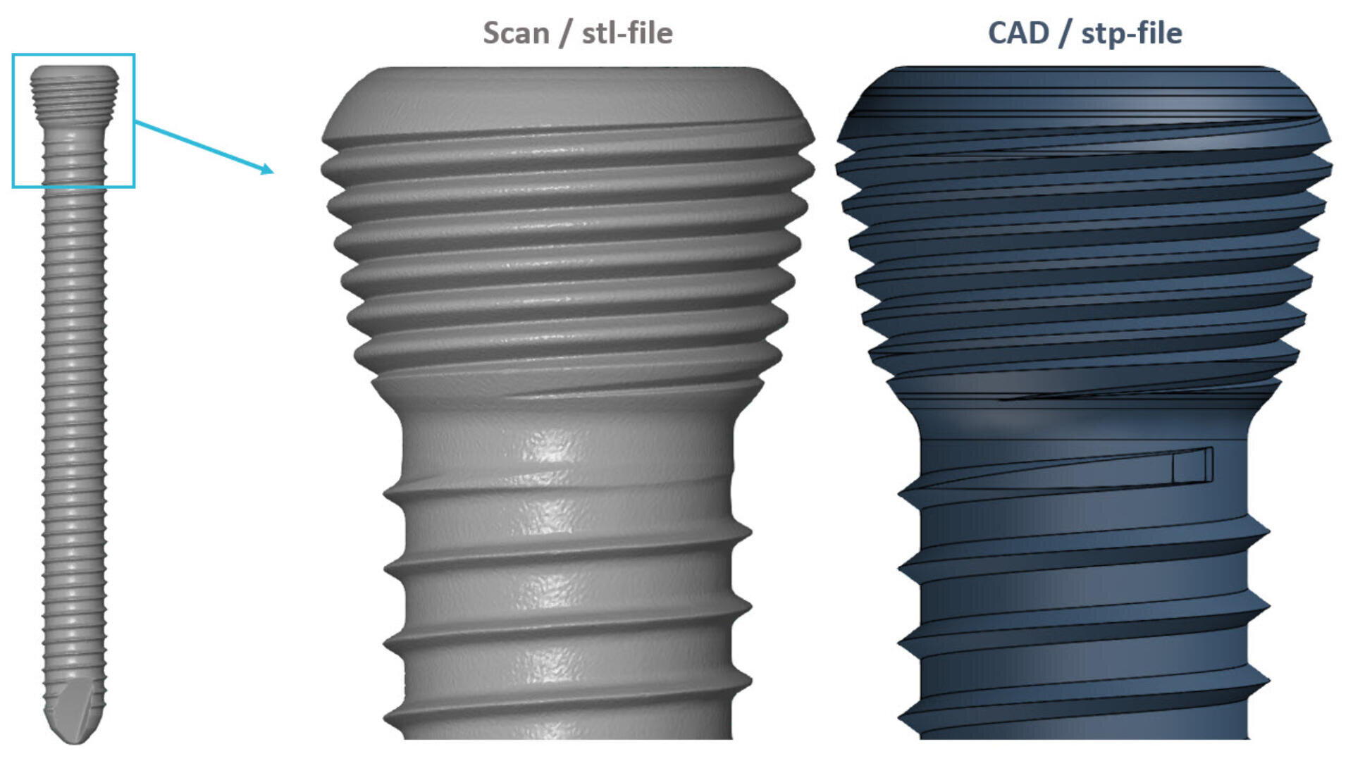 A dental implant screw shown on the left, with a magnified section highlighting its threads; the middle shows a 3D scan (stl file), and the right displays a CAD model (stp file) for comparison.