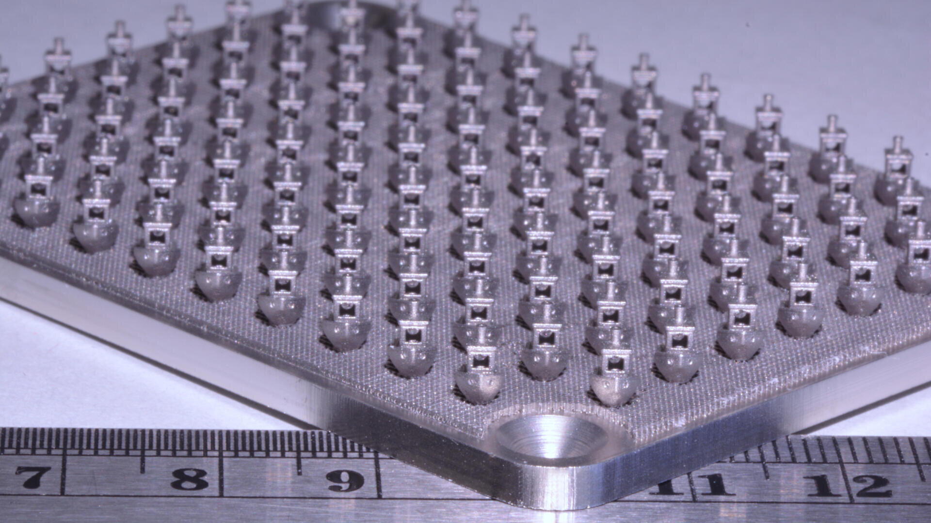 Eine Nahaufnahme einer Metallplatte mit einem Raster aus winzigen, identischen 3D-gedruckten Strukturen, neben der ein Lineal mit Zentimetermaßen als Maßstab platziert ist.